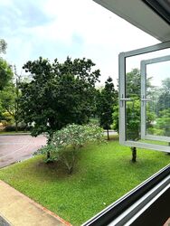 Blk 543 Panshan Grove (Bukit Panjang), HDB Executive #550814461